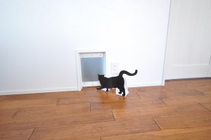 猫ちゃんの出入り口も忘れずに
