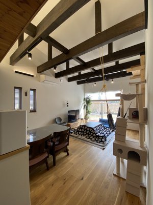 キャットタワーが馴染む無垢材をふんだんに使ったLDK