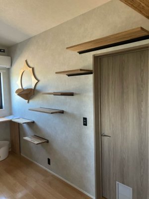 キャットウォーク