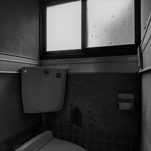 ほとんど使われなくなっていたトイレ